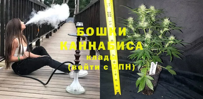 наркота  Козельск  Канабис LSD WEED 